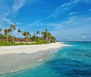Tragedia alle Maldive. 5 italiani morti durante un'immersione, tra le vittime anche 2 piemontesi